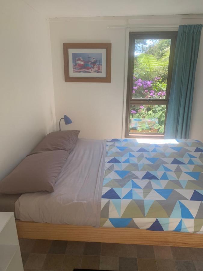 Pickled Parrot - Boutique Hostel Paihia Eksteriør billede